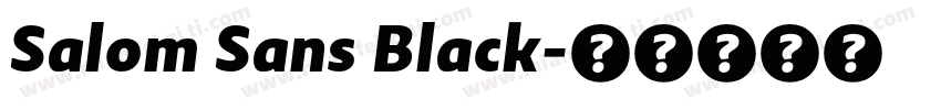 Salom Sans Black字体转换